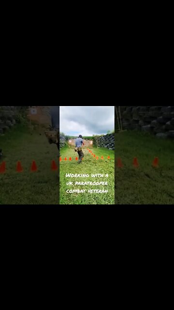 💂‍♂️🦸🏽 Shoot on the Move! British Paratrooper & Combat Vet Training 💪#policetraining #shortsfeed