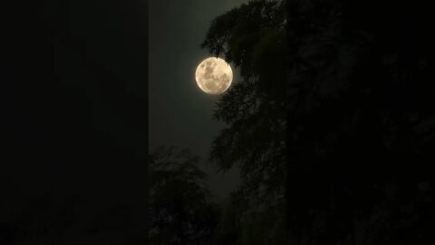 Silent Night Music and Night View | Focus Music | Full Moon | Latest Status