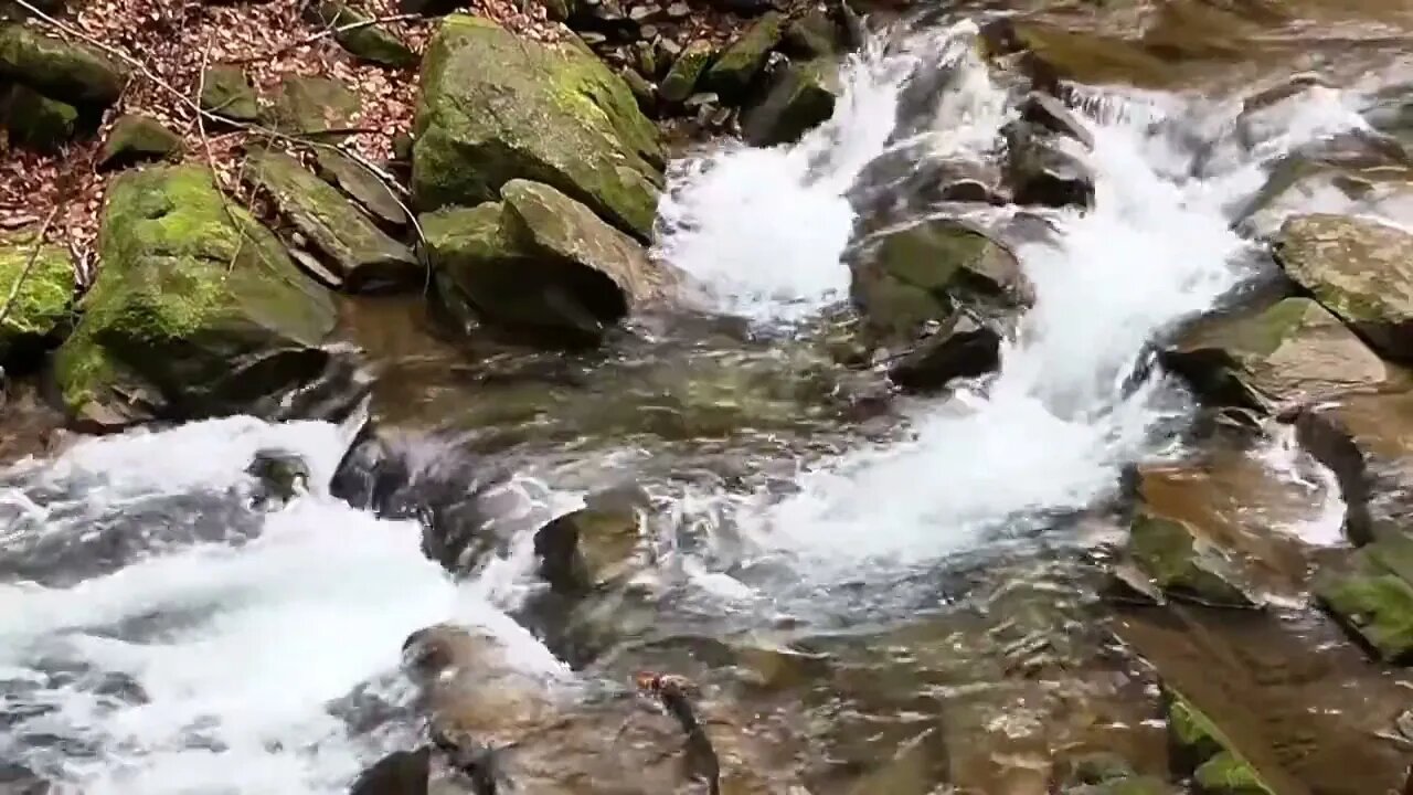 Relax with stream flow.