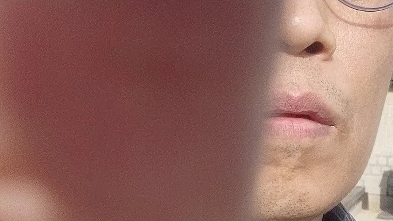 창경궁벚꽃