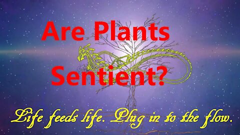 Are Plants Sentient?