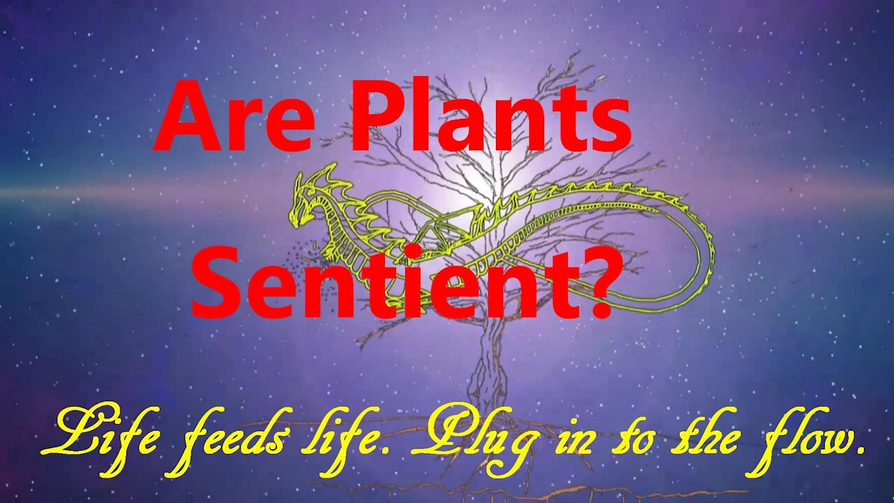 Are Plants Sentient?