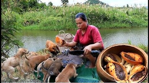 woman find to catch big snails with banana for dog - Eating delicious