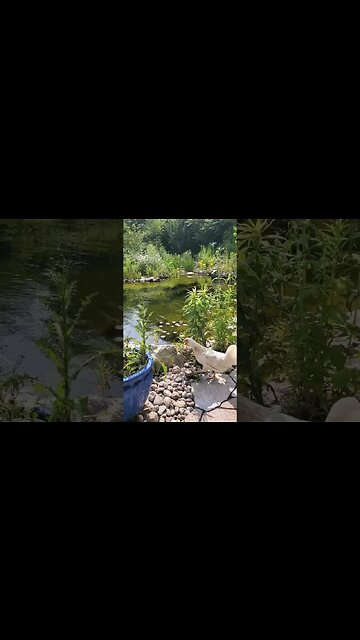 Spa treatment for Gretta