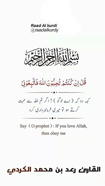 Verse No 31,32 |Beautiful Reaction