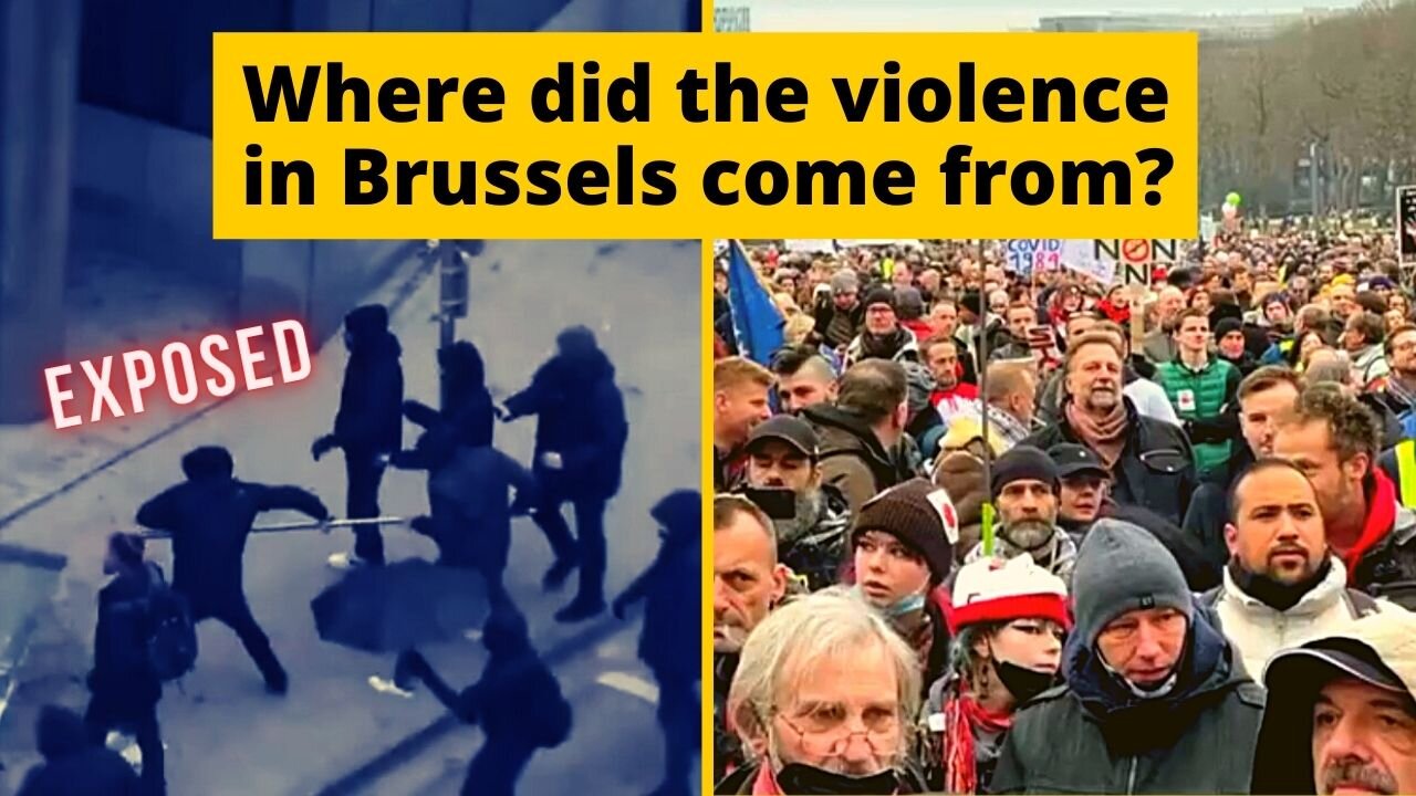 Brussels - what really happened on January 23rd | by Janet Ossebaard