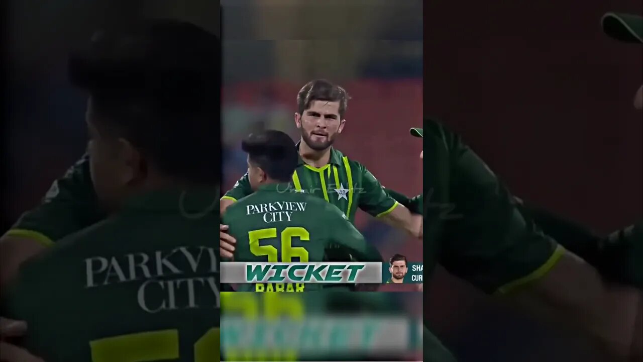 Shaheen Afridi Destroyed NZ 🥶 #shorts #pakvsnz #cricket