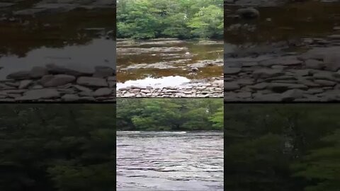 Fast vs slow river comparison of the river Spean Scotland