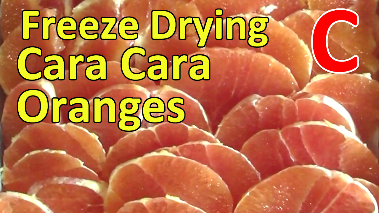 Freeze Drying Cara Cara Orange Slices