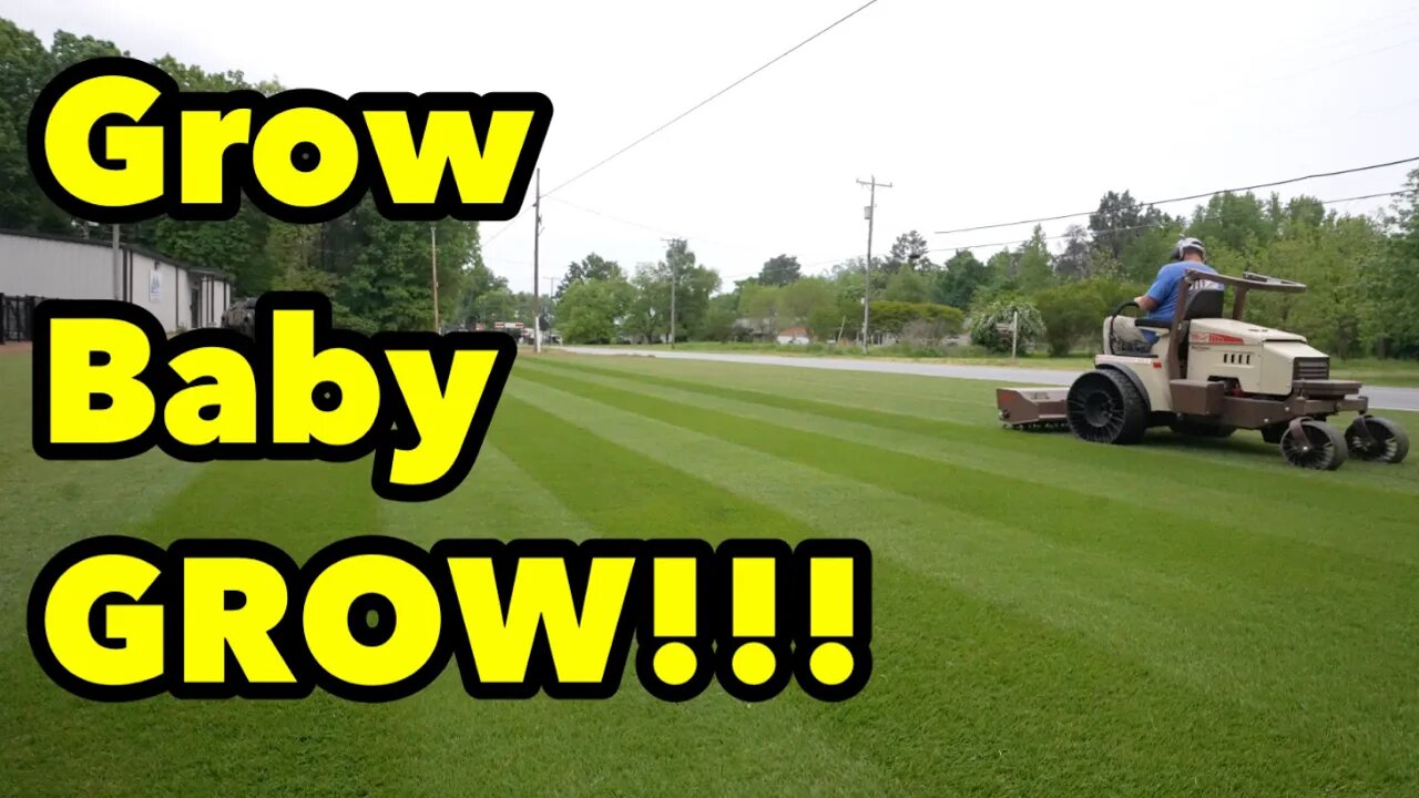 Bermudagrass How to Make it Grow FAST