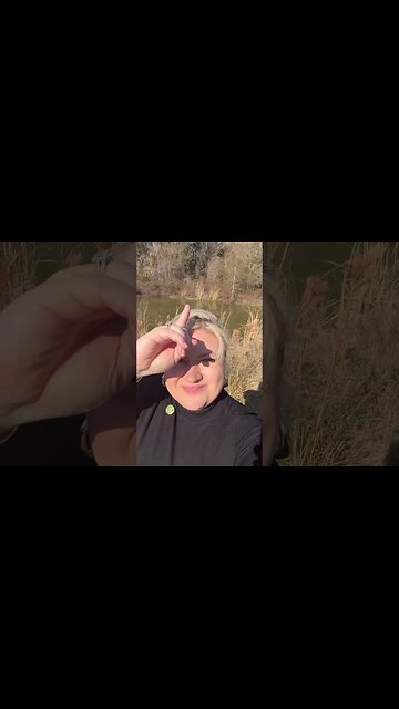 Rep. Cammack Shares Alligator Outside Gainesville District Office