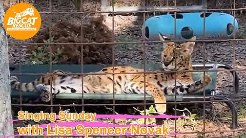 It’s Singing Sunday with Carole Baskin & Lisa Spencer-Novak @BigCatRescue 01 08 2023