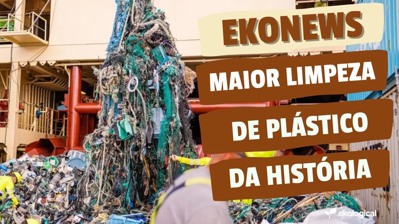 Limpeza de lixo plástico nos oceanos | MAIS DE 100KG DE PLÁSTICO! CONFIRA AQUI