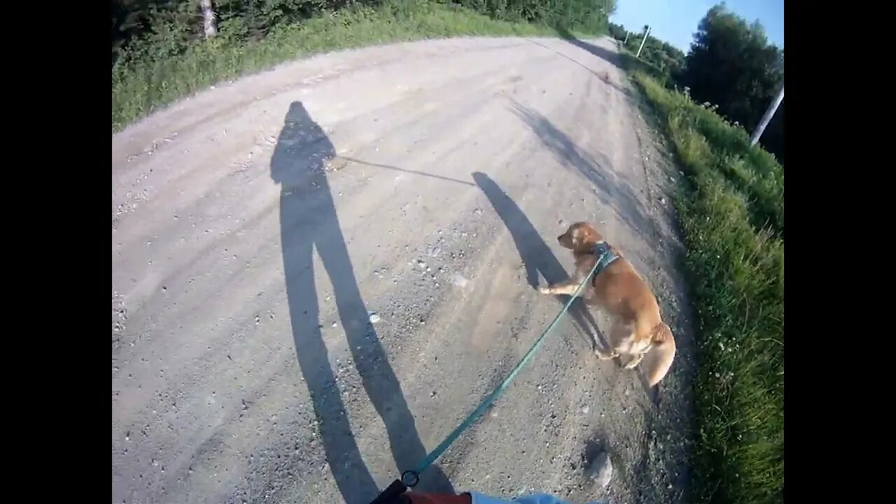 July 21st, 64º cloudless skies. Short walk with Flynn this morning.