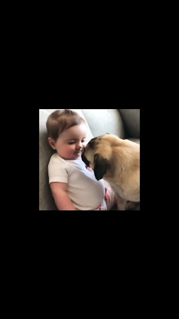 It was 🥰 #shorts #clips #shortsfeed #shortvideo