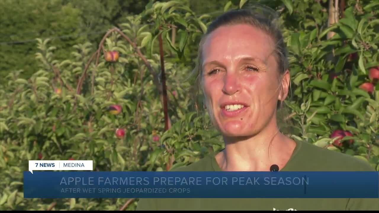 'It was tough': Apple farms say early spring frost leading to smaller harvest