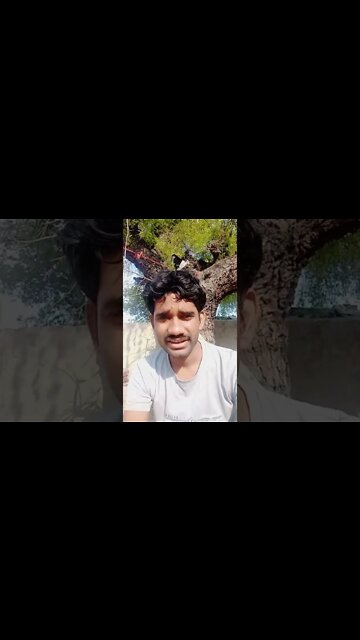 machhrikjaise#shorts