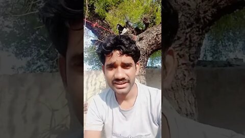 machhrikjaise#shorts