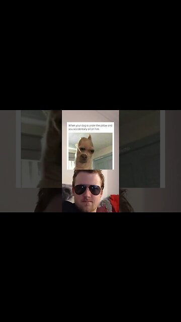 your daily dose of memes