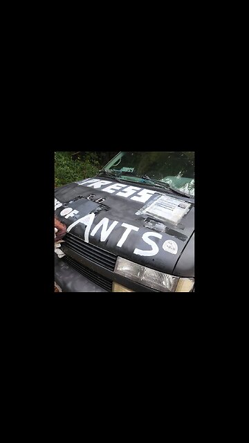 LIVE Boss Talk's Father Got busted with Child Porn ,Wisconsin and Drag, and a Master Troll Stikes