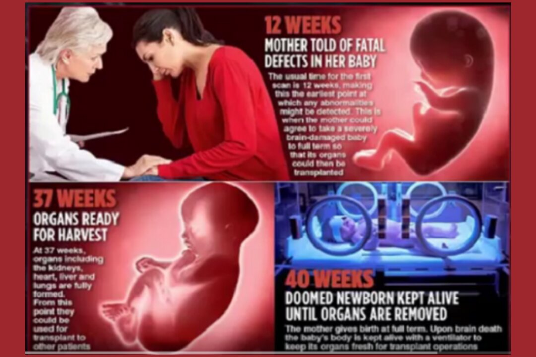 Worldwide Organ Harvesting by Planned Parenthood, Israel, Ukraine, United Kingdom