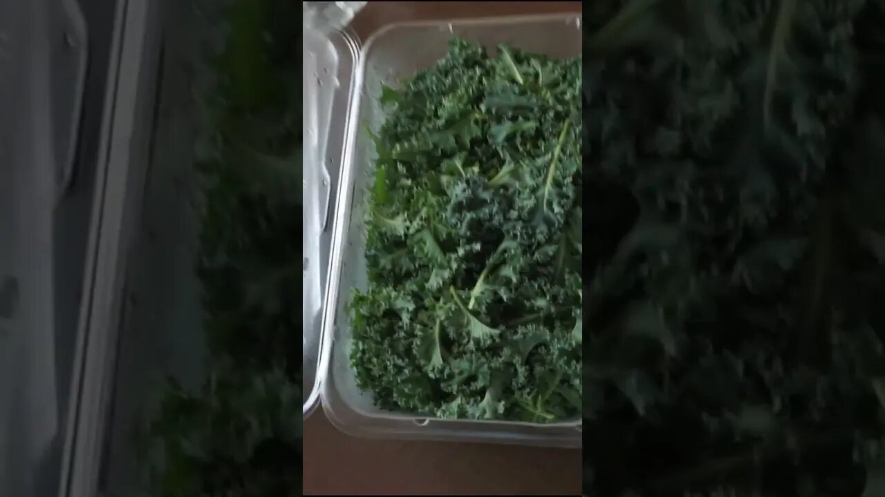 The Best Tasting Kale I've Ever Had #Shorts #kale #greens #vegtables #garden #earth #fresh #health