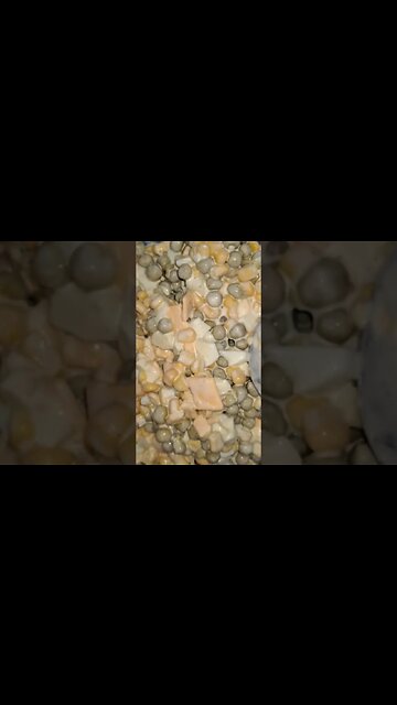Have you ever had a #Southern sweet pea & corn #salad? #southerncooking #shorts #ytshorts #cooking