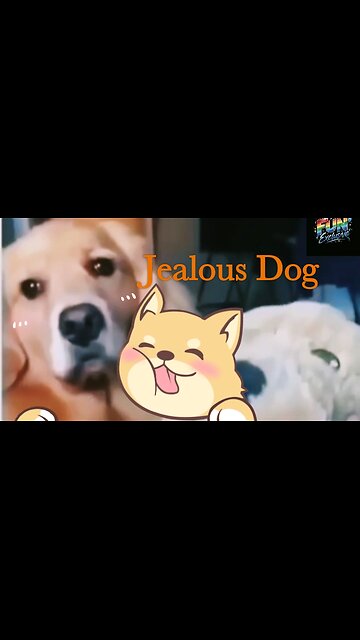 Jealous Dog💥 Funny Video 😆😆😆