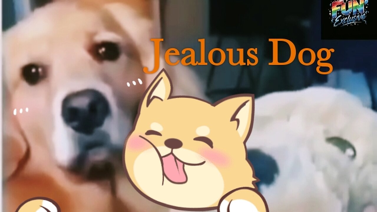 Jealous Dog💥 Funny Video 😆😆😆