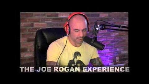 Joe Rogan Experience #303 - Matt Vengrin