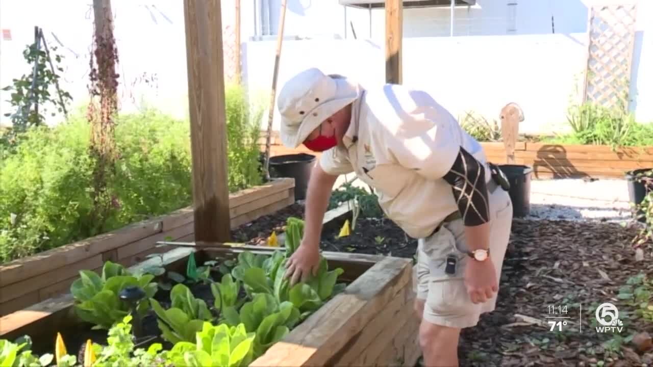 Community Gardens in Riviera Beach growing healthy eating habits