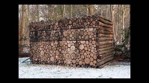 This Looks Like A Pile Of Firewood But When You Look Closer… What The!