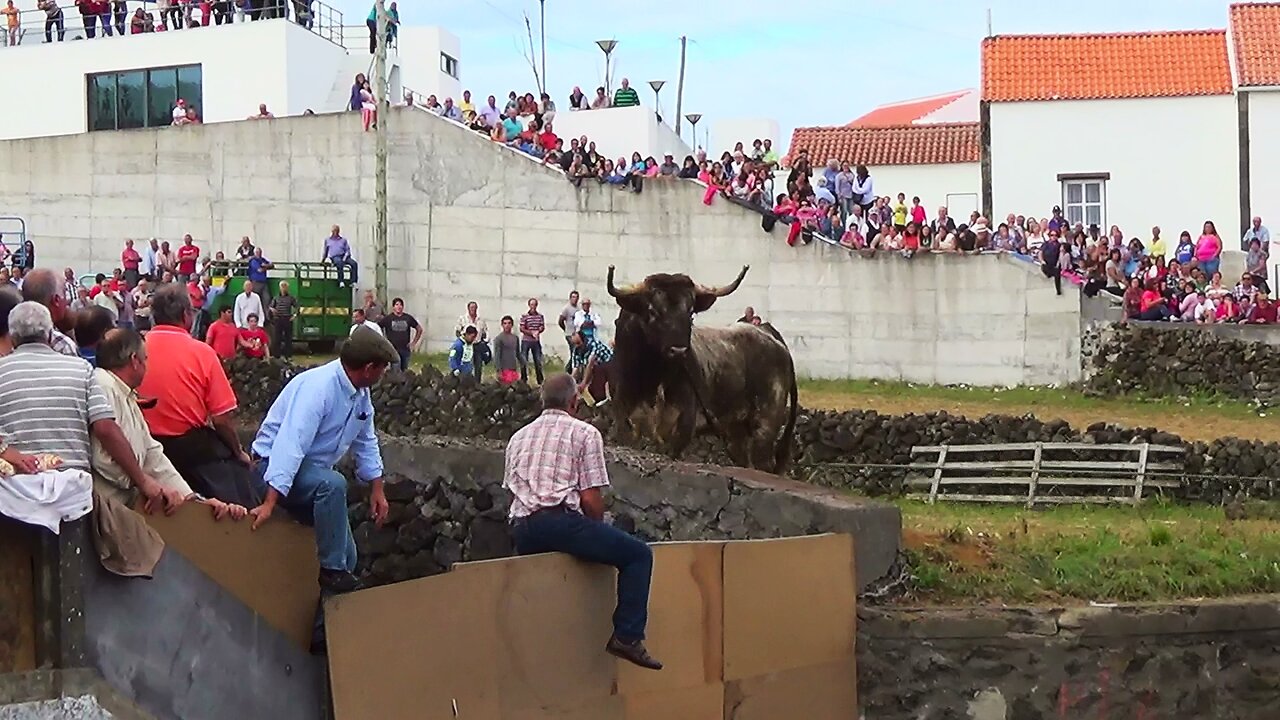 Touradas 2014 Clip 9 - Diversas Localidades Ilha Terceira - Açores - Portugal