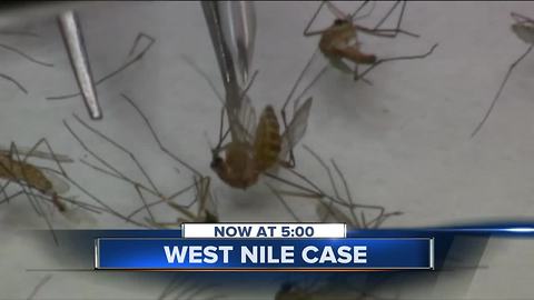 Dead Bird found in North Shore tests positive for West Nile virus in Milwaukee County