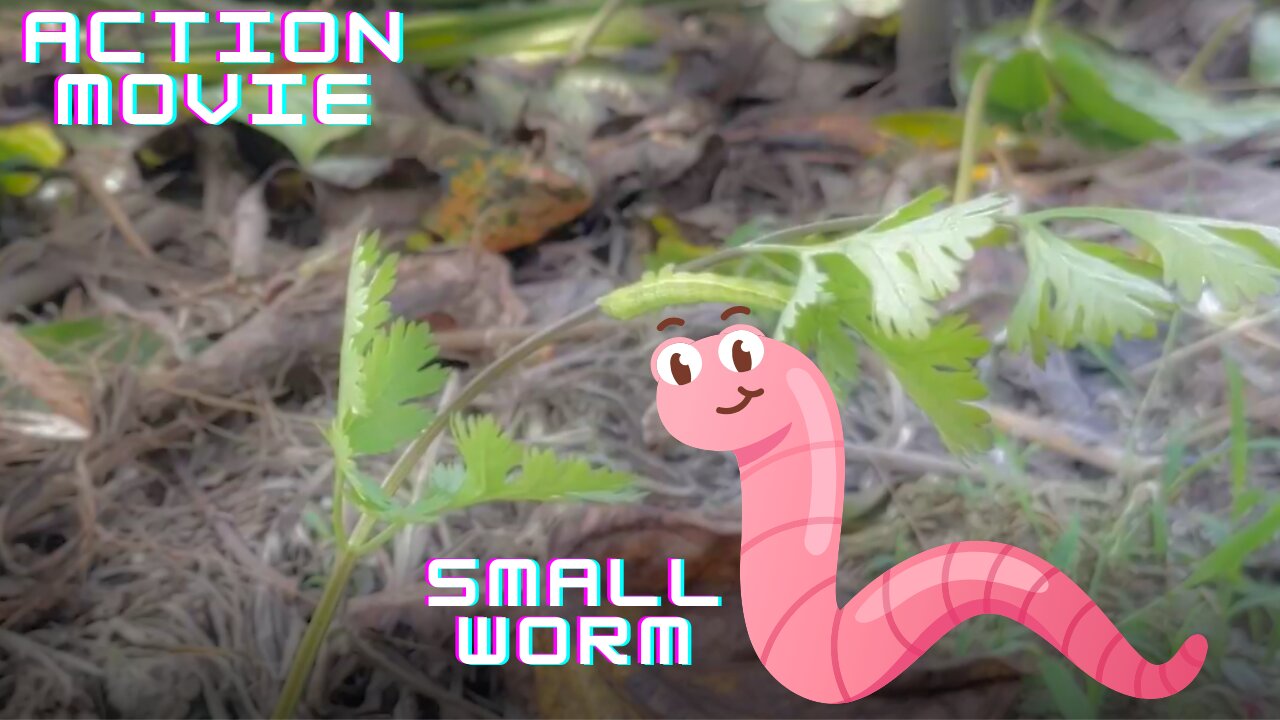 Small Worm | ACTION | Full Movie