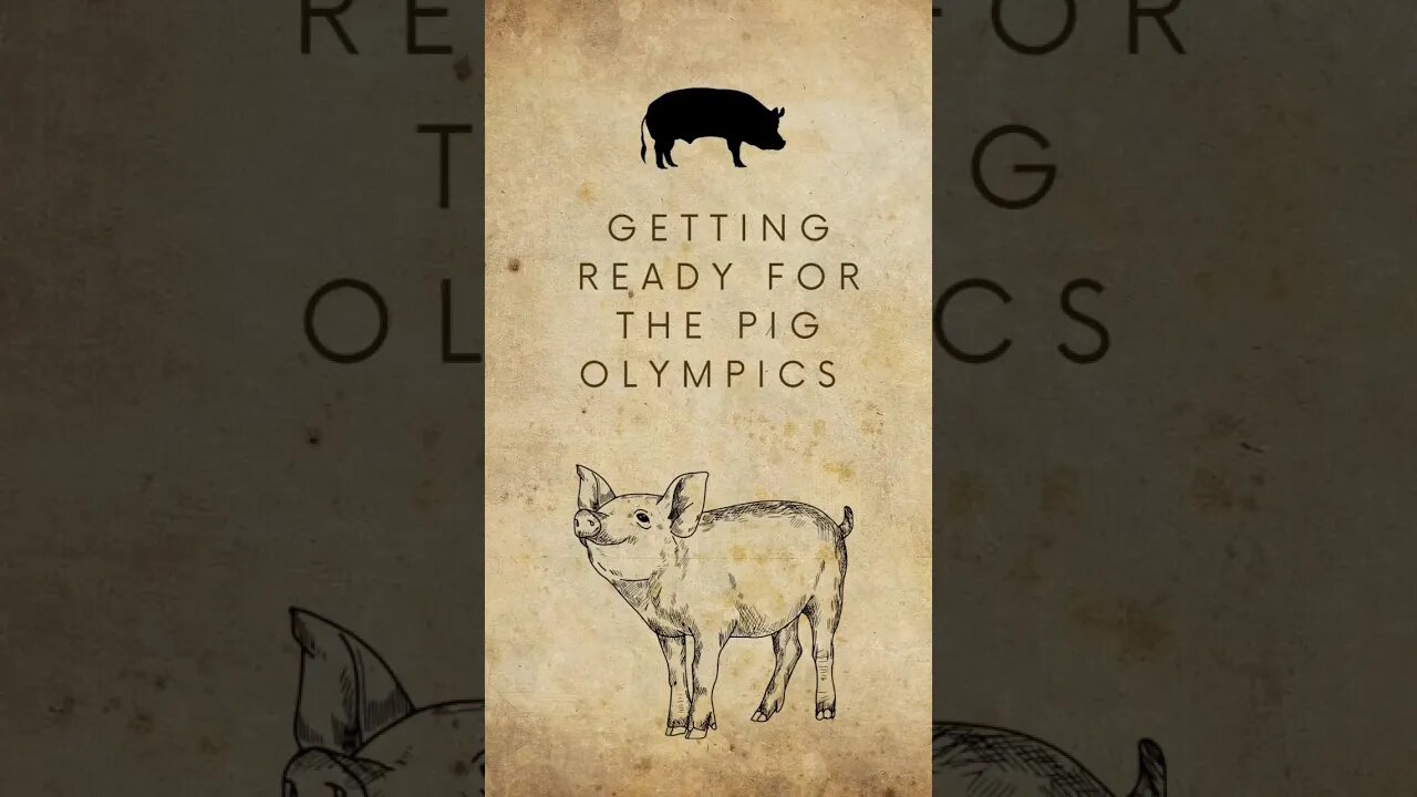 Pig Olympics Here We Go #shorts #youtube video ideas #Shorts