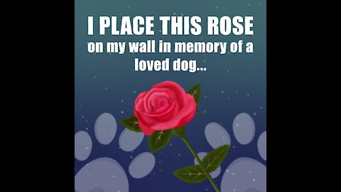 I place this rose [GMG Originals]