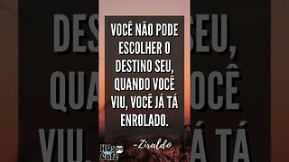 Frase do Ziraldo 3 | #shorts