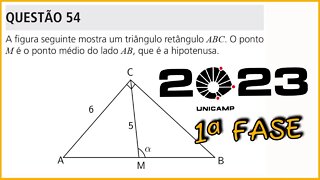 QUESTÃO 54 : VESTIBULAR UNICAMP 2023