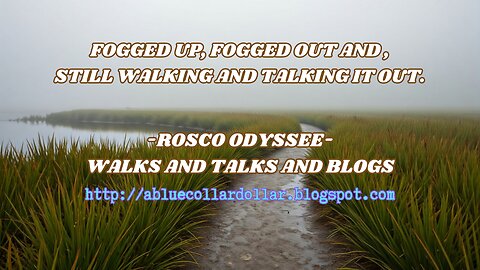 ROSCO ODYSSEE WALKS- WALKS AND TALKS. IN THIS VIDEO ITS ANOTHER FOGGY DAY IN THE FIELD OF SLOUGH BAY