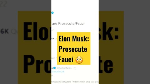 What Did ELON MUSK FIND?