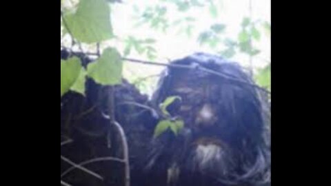 World Bigfoot Radio #54 ~ THE TROLL/Leo Frank