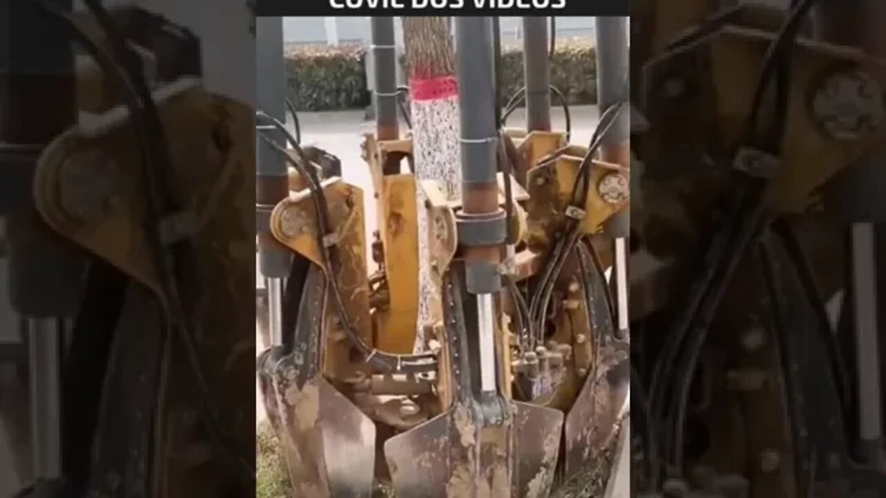 máquina que consegue remover um árvore sem sacrificar