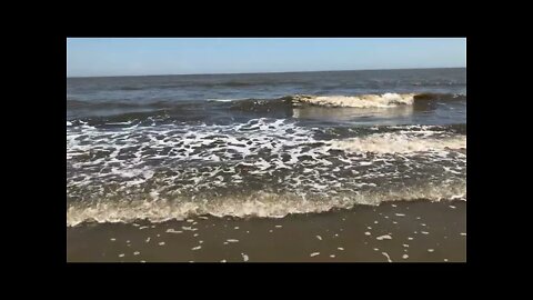 Gentle Ocean Waves on the Beach