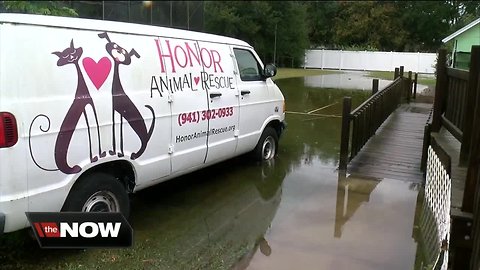 Animal rescue in Bradenton under water after storm, asks for help on social media