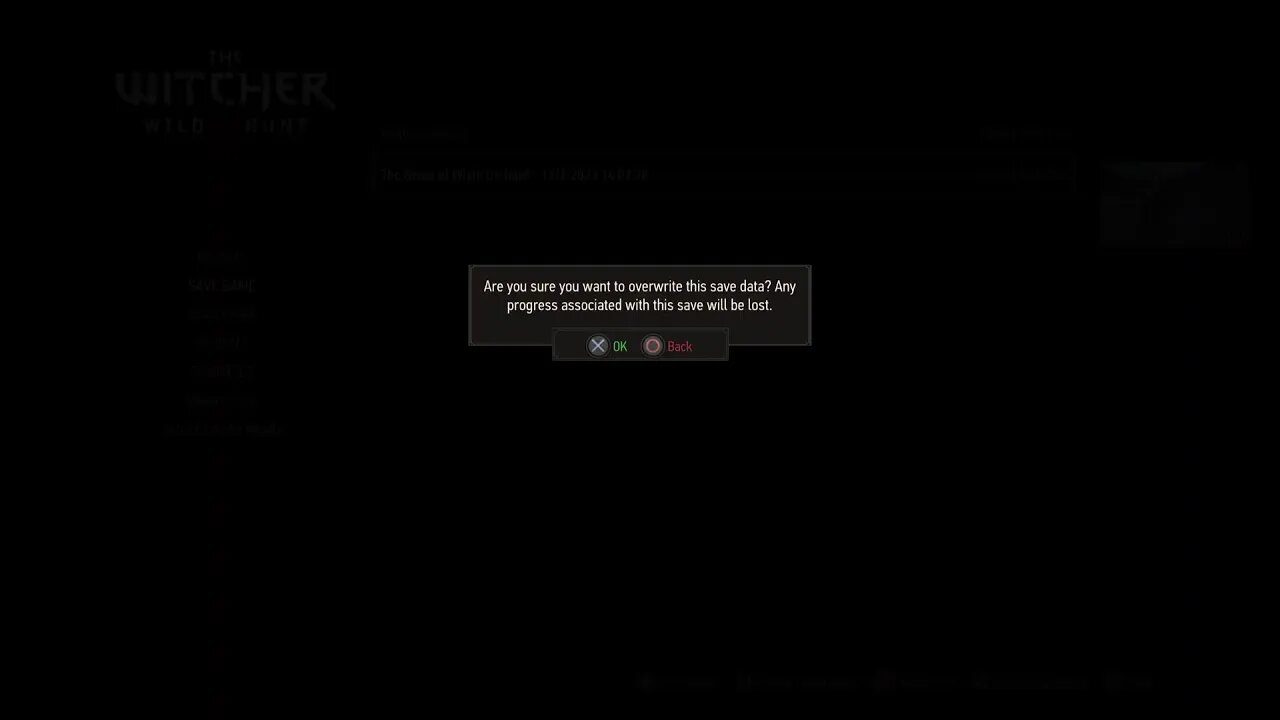 Witcher 3 replay