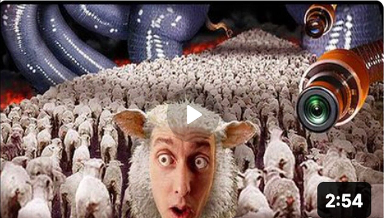 A Message to all Sheep from your Beloved Government!