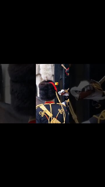Boss is all OK #horseguardsparade