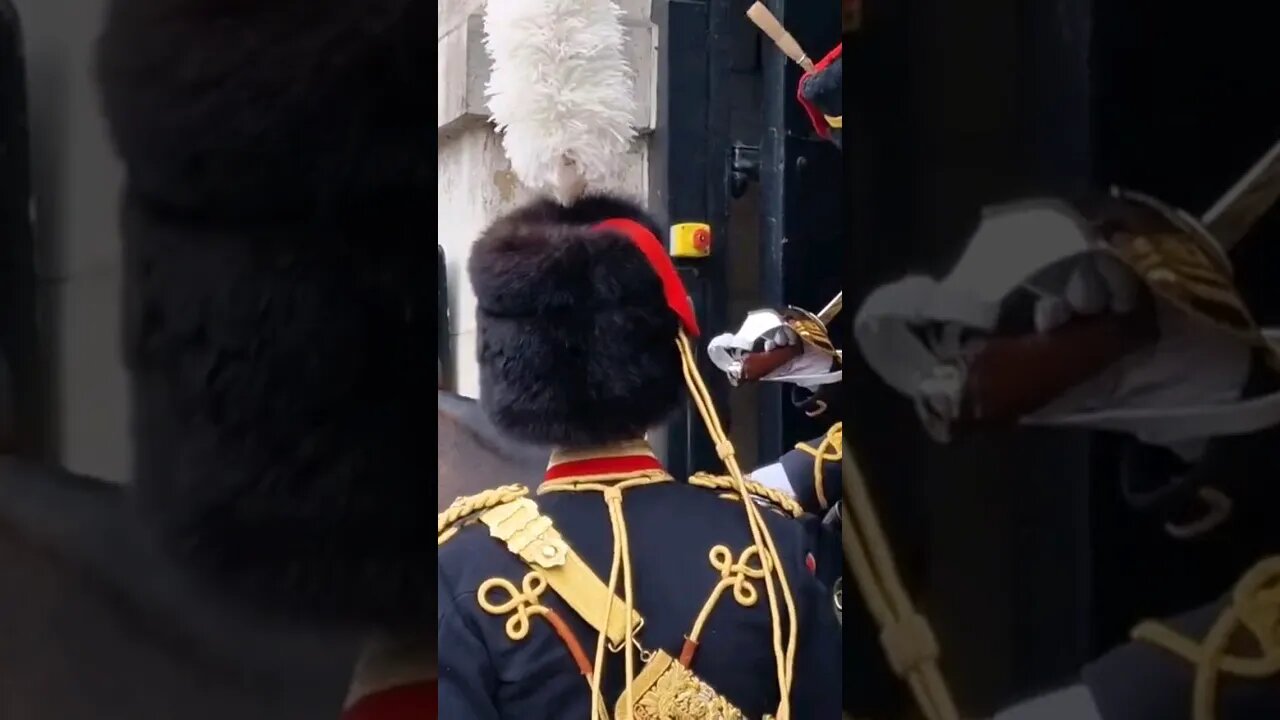 Boss is all OK #horseguardsparade