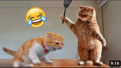 Best Funny Animal Videos of the year (2023), funniest animals ever. relax with cute animals video